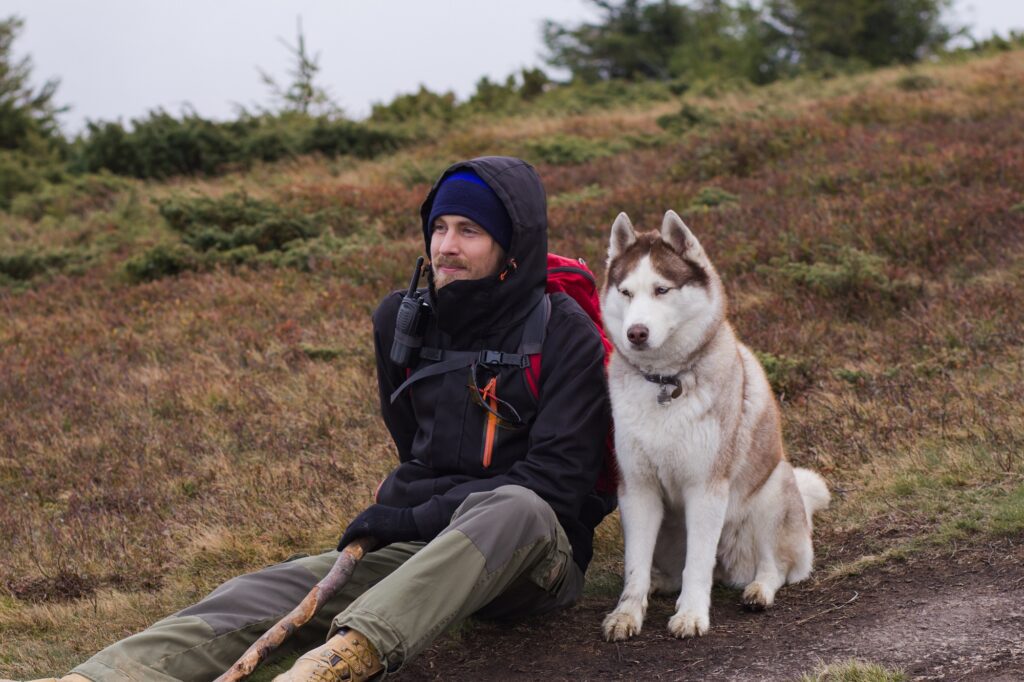 dog friendly hikes